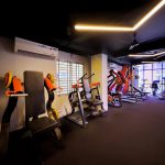 Lion Fitness Studio