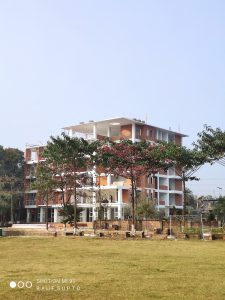 Panda Garden