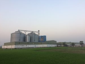 Agata Feed Mills Ltd.