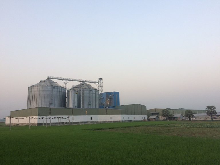 Agata Feed Mills Ltd.
