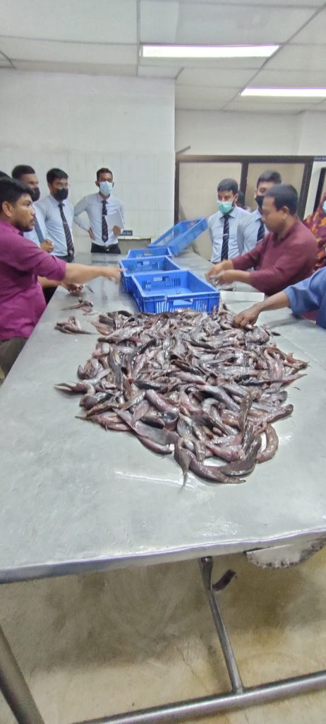 Anraj Fish Products Industries Ltd.