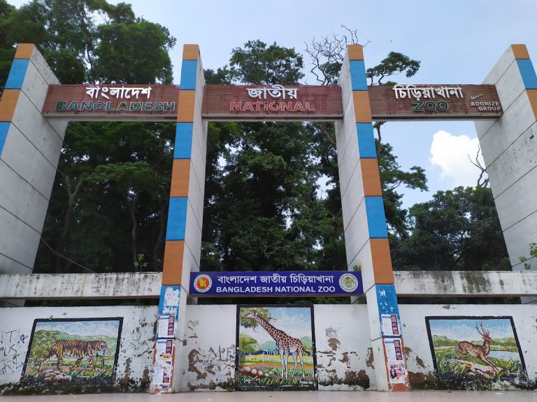 Ban Zoo & Company