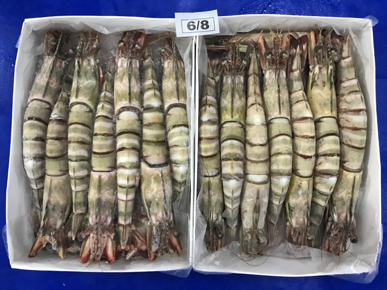 Bionic Fish Processing Ltd.