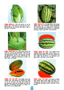 East Bengal Seed Company