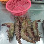 Farook Sea Foods Ltd.