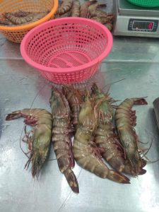 Farook Sea Foods Ltd.
