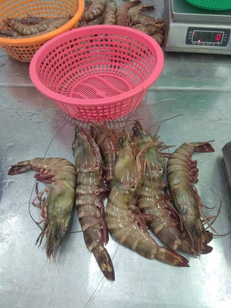 Farook Sea Foods Ltd.