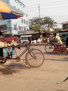 Halima Textiles Mills