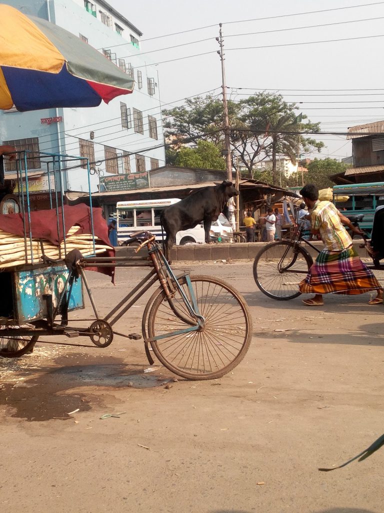 Halima Textiles Mills