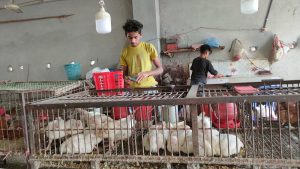 Hazi Nasir Uddin Sarker Market