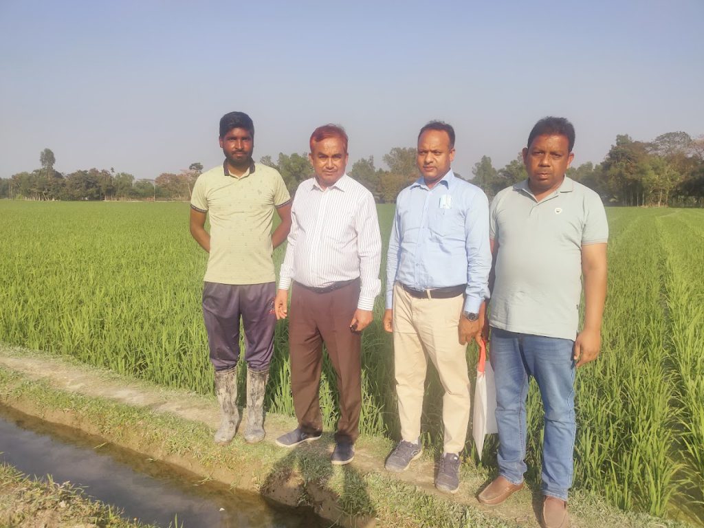 Krishibid Seed Limited