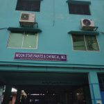 Moon Star Paints