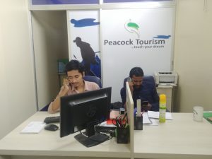 Peacock Tourism