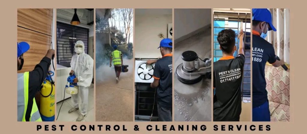 Pest N Clean