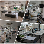 Promident Dental Clinic