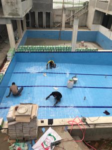 Swimming Pool Equipment & Construction